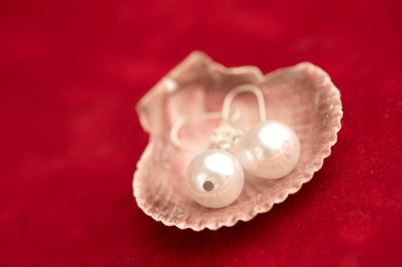 Fototapeta na wymiar Pearl earrings