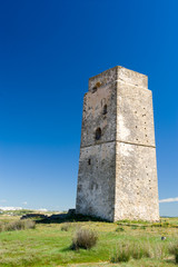 Fototapeta na wymiar Torre de Castilnovo