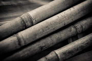 Bamboo sticks