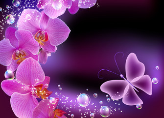 Orchid and butterfly