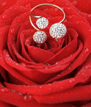 Red rose with a ring with jewels and water drops