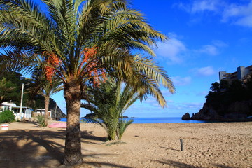 Beautiful small bay in Ibiza, Baleares Island, Spain.