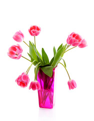 Pink vase with Dutch tulips