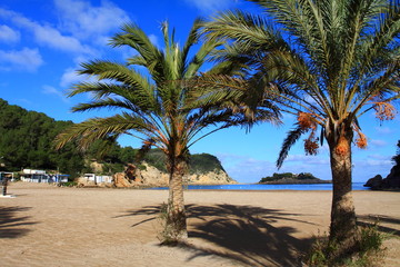 Obraz na płótnie Canvas Beautiful small bay in Ibiza, Baleares Island, Spain.