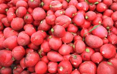 Fruits on the food market for background,Cameron Highlands Malay