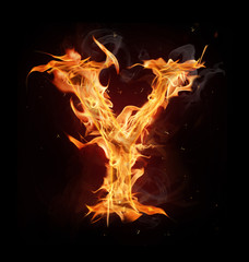 Fototapeta premium Fire alphabet letter 
