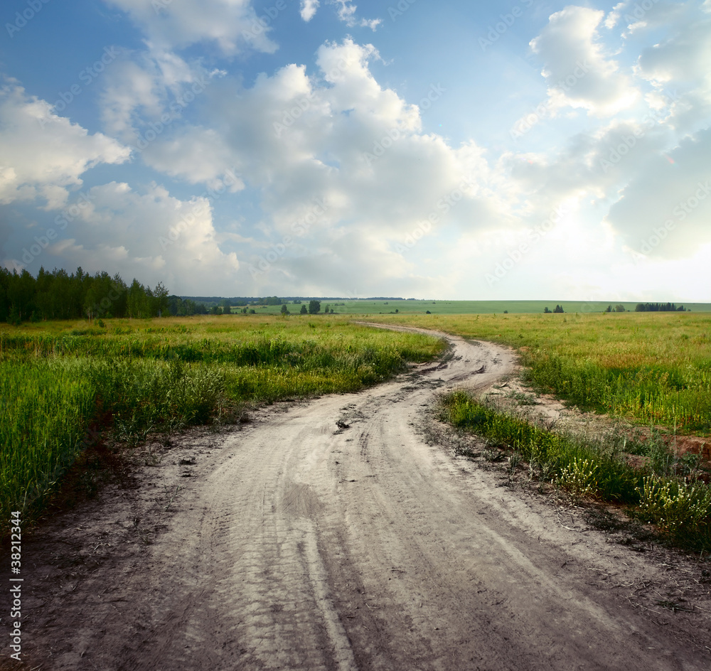 Wall mural road