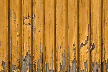 Wood background