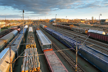 Cargo Station with trains