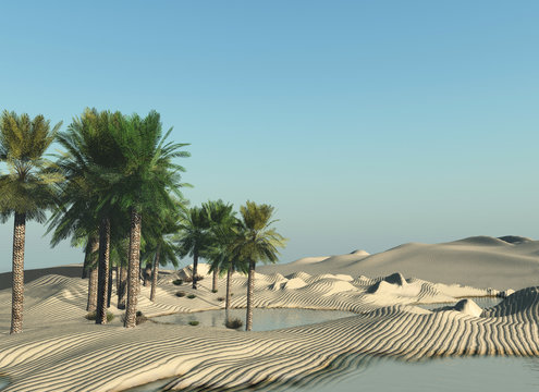 Oasis