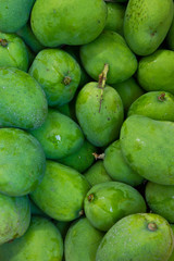 mangue verte