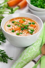 Fresh vegetable soup