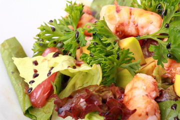 salad with shrimp and grapefruit