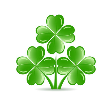 vector illustration of the three  shamrocks with four lucky leav