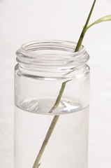 Optical phenomenon of refraction of a rod in the water