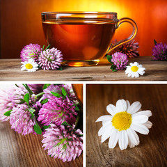 Obraz na płótnie Canvas Herbal tea collage