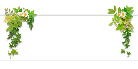 ホワイトボード