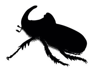Rhino beetle © vadimmmus
