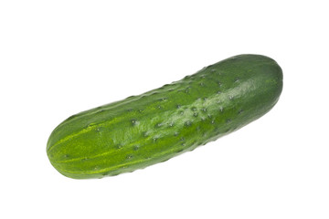 Cucumber