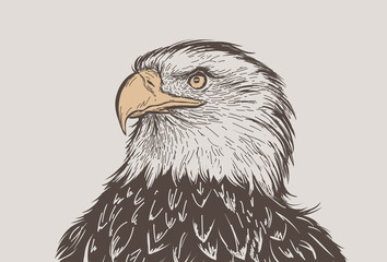 Eagle