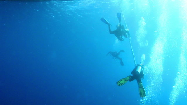 Divers on saftey stop