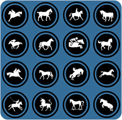 blue  signs. Horse riders silhouettes.  Horse icons.