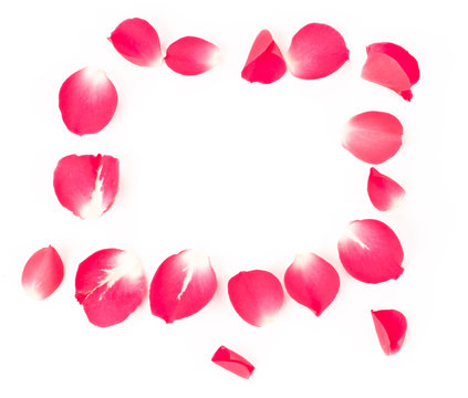 Rose petals