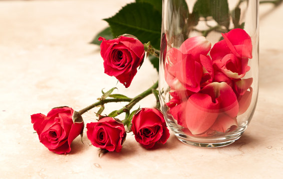 rose petals in a glass