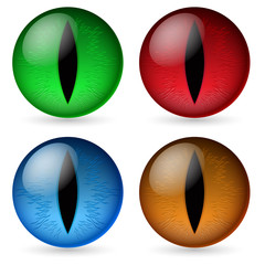 Naklejka premium Colorful dragon eyes