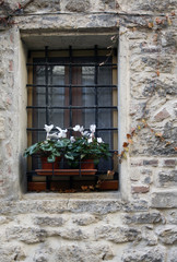 Fototapeta na wymiar Old Window And Flowers