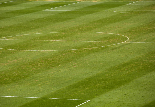 Grass, Soccer field