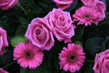 Fototapeta premium Deeppinl flower arrangement