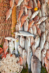 Fresh seafood background