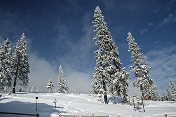 Winter in the mountains
