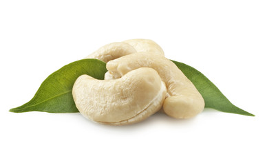 Cashew