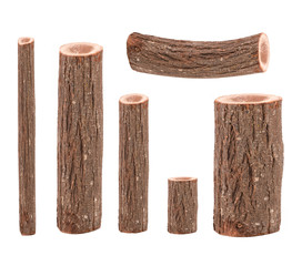 six tree trunks isolated on white background
