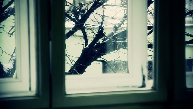 Inverno