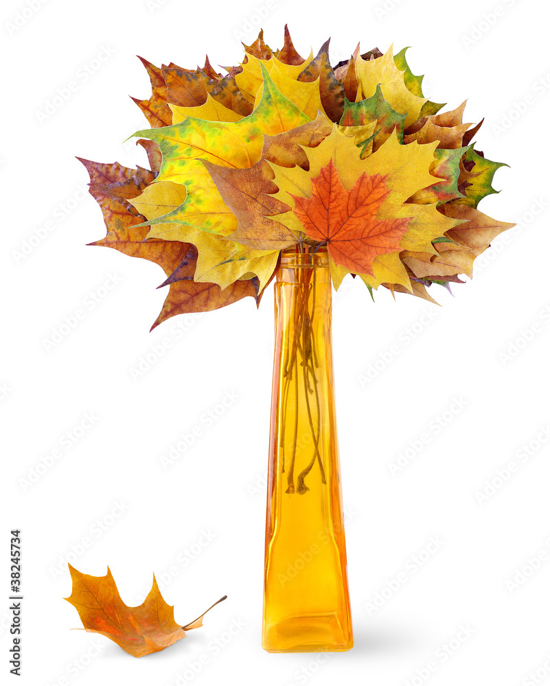 Sticker isolated autumn decoration. bunch of multicolored maple leaves in a vase isolated on white backgroun
