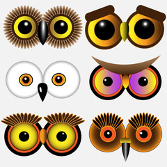 Eyes of owls