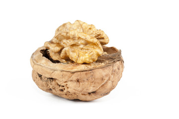 Walnut