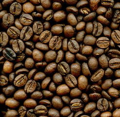 coffee beans background