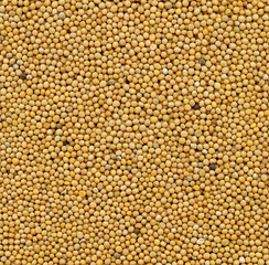 mustard seeds