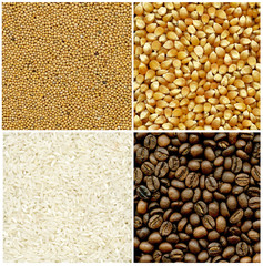 mustard, coffee, rice and corn backgrounds