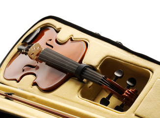 violin