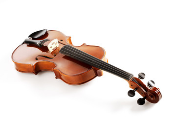 violin