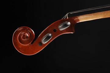 violin