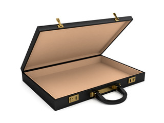 Open black case over white background