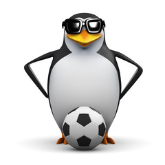 3d Penguin footballer is ready to play