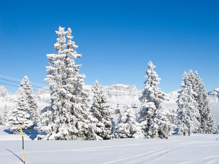 Winter in alps