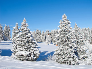 Fototapeta premium Winter in alps